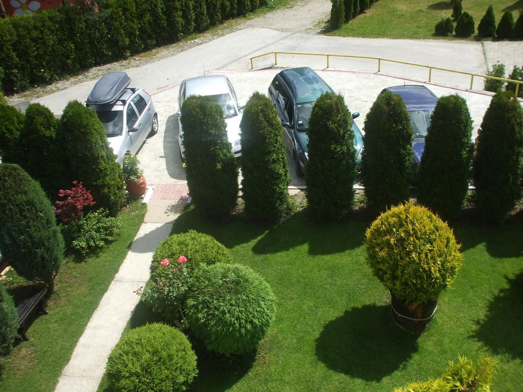 Villa Bozovic Zlatibor Dış mekan fotoğraf