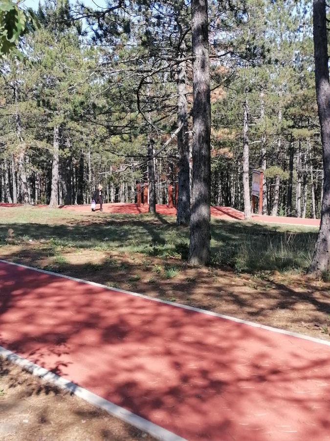Villa Bozovic Zlatibor Dış mekan fotoğraf