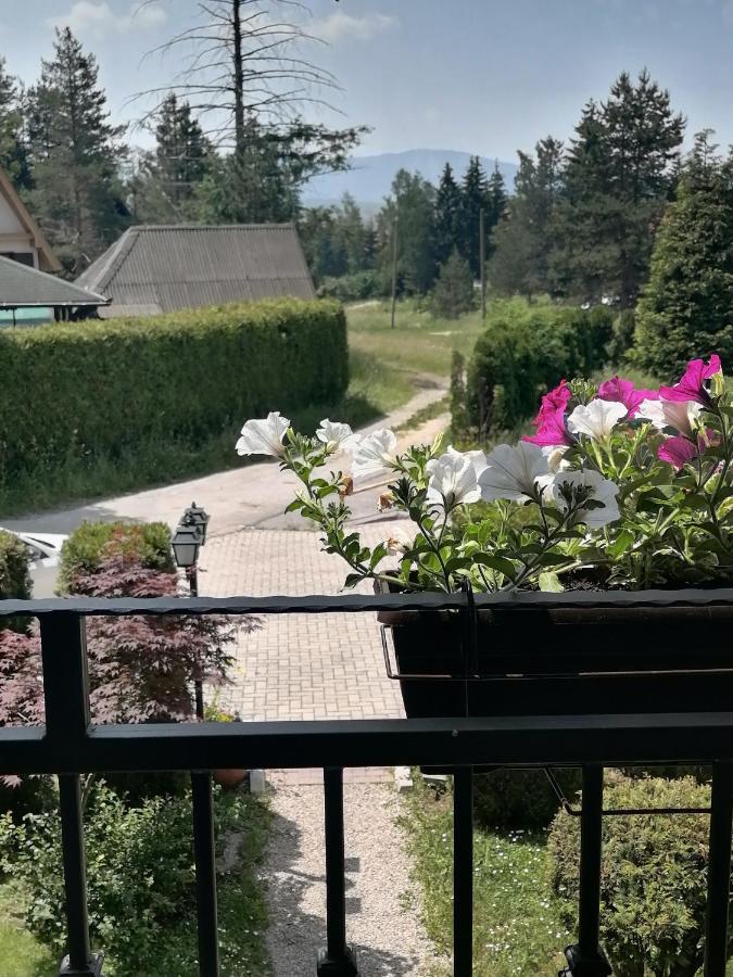 Villa Bozovic Zlatibor Dış mekan fotoğraf