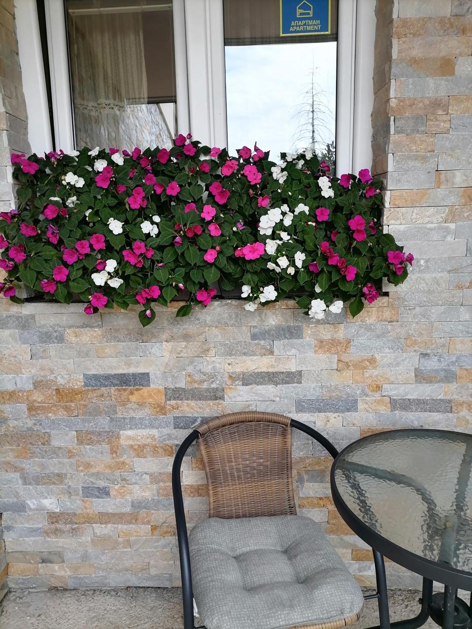 Villa Bozovic Zlatibor Dış mekan fotoğraf