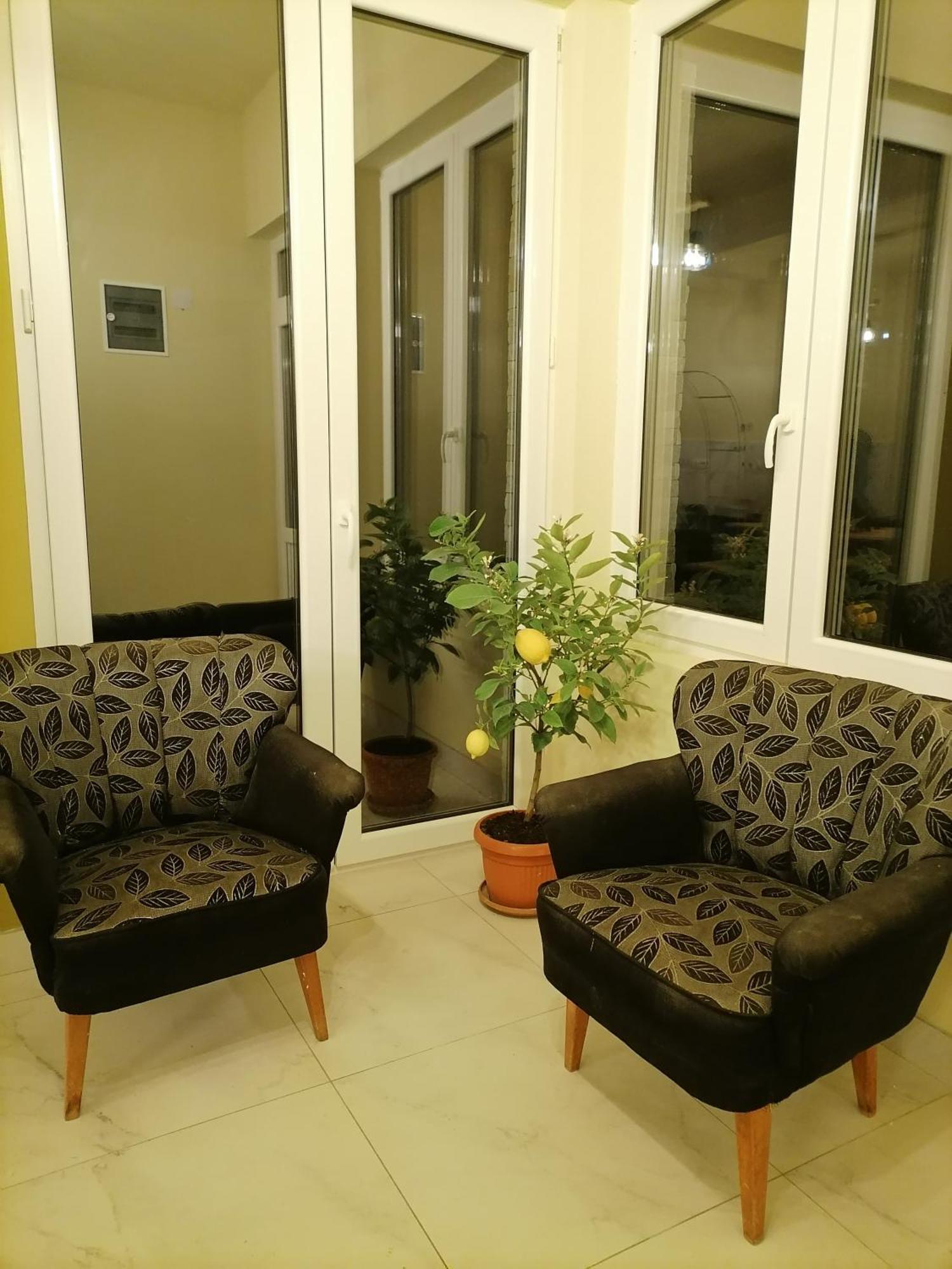 Villa Bozovic Zlatibor Dış mekan fotoğraf