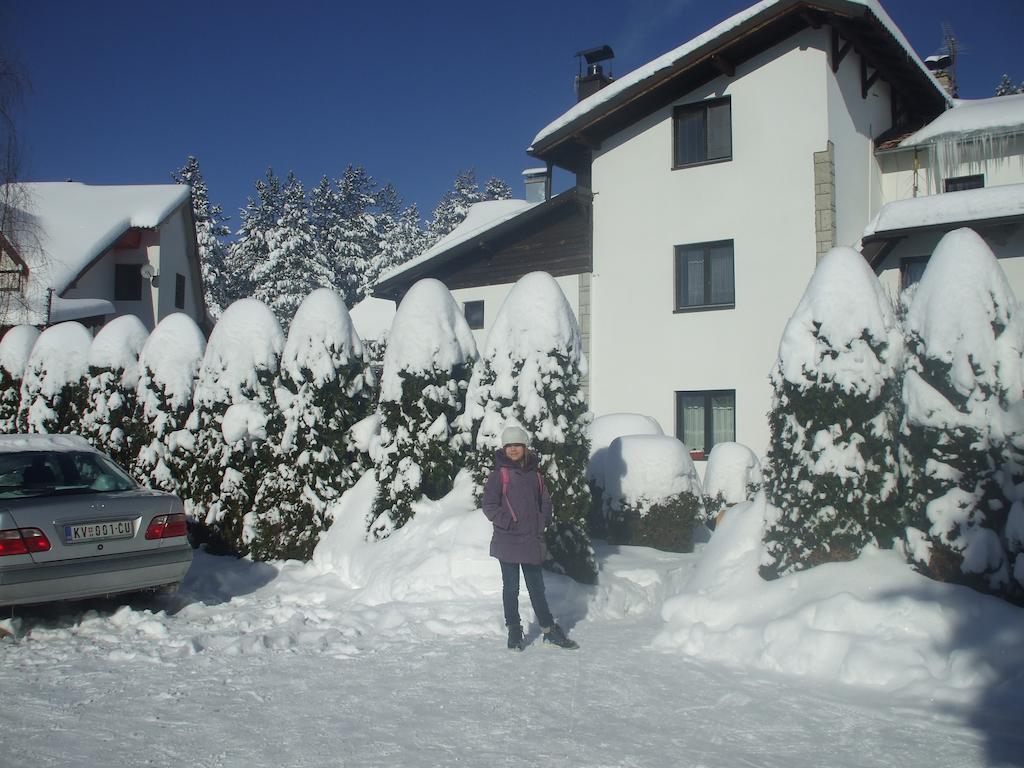 Villa Bozovic Zlatibor Dış mekan fotoğraf