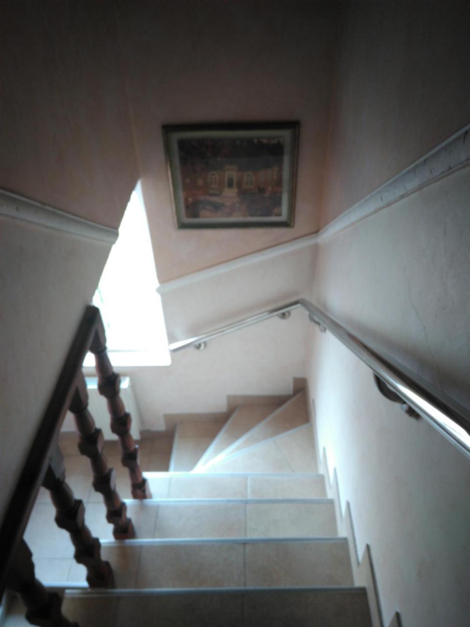Villa Bozovic Zlatibor Dış mekan fotoğraf